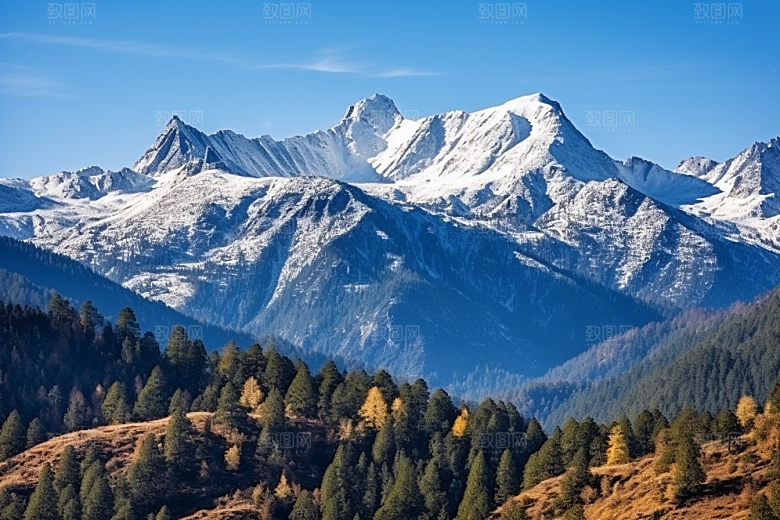 大雪风光户外自然摄影图