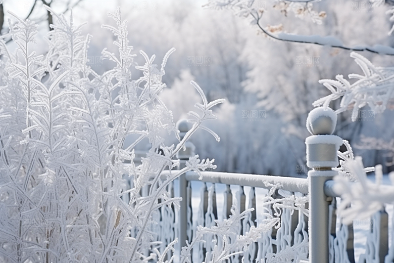 大雪风光环境冬天摄影图
