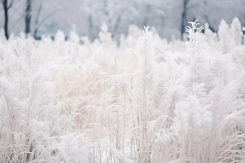 大雪风光唯美环境摄影图