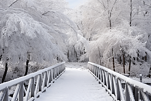 大雪风光景色室外摄影图