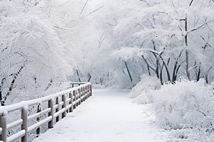 大雪风光高清冬天摄影图