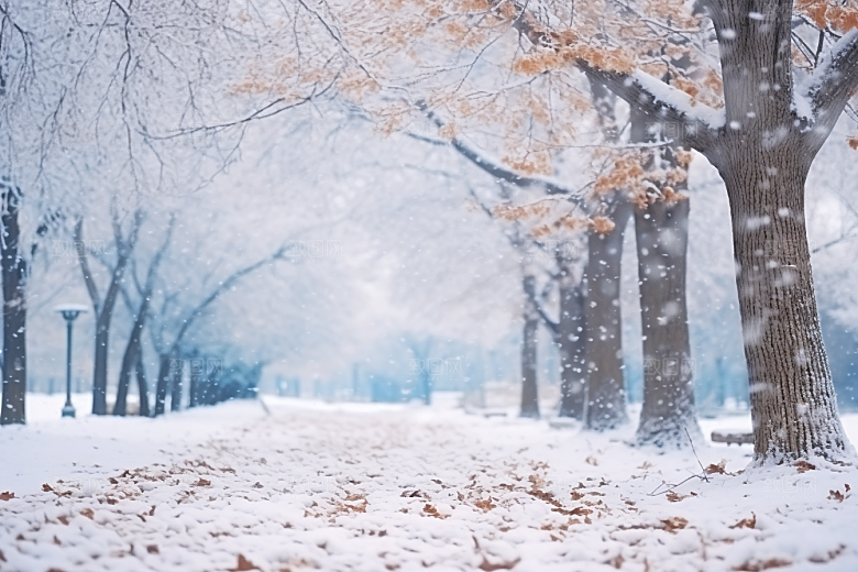 大雪风光高清环境摄影图
