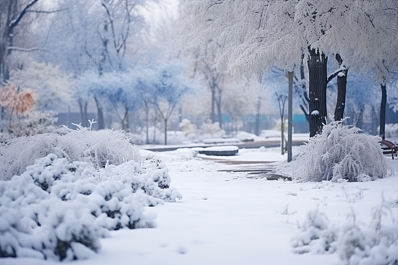 大雪风光景色环境摄影图