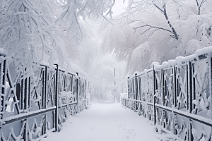 大雪风光唯美冬天摄影图