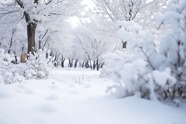 大雪风光冬天冬季摄影图