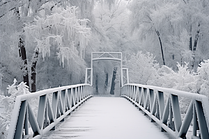 大雪风光自然唯美摄影图