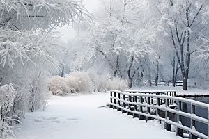 大雪风光寒冷高清摄影图