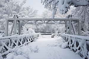 大雪风光唯美寒冷摄影图