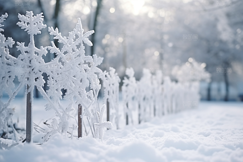 大雪风光唯美环境摄影图