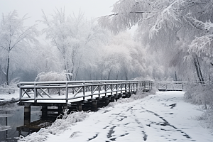 大雪风光景色冬季摄影图