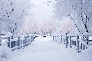 大雪风光自然景色摄影图