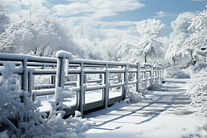 大雪风光景色寒冷摄影图