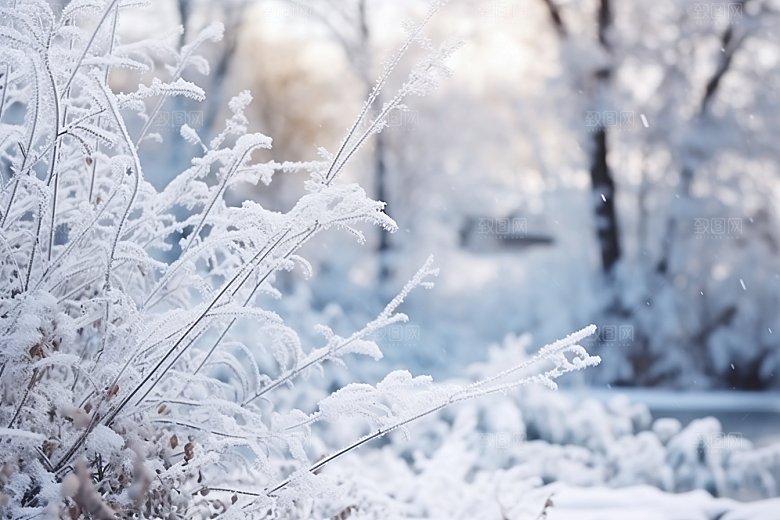 大雪风光高清景色摄影图