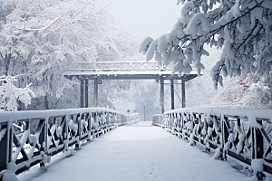 大雪风光冬季环境摄影图