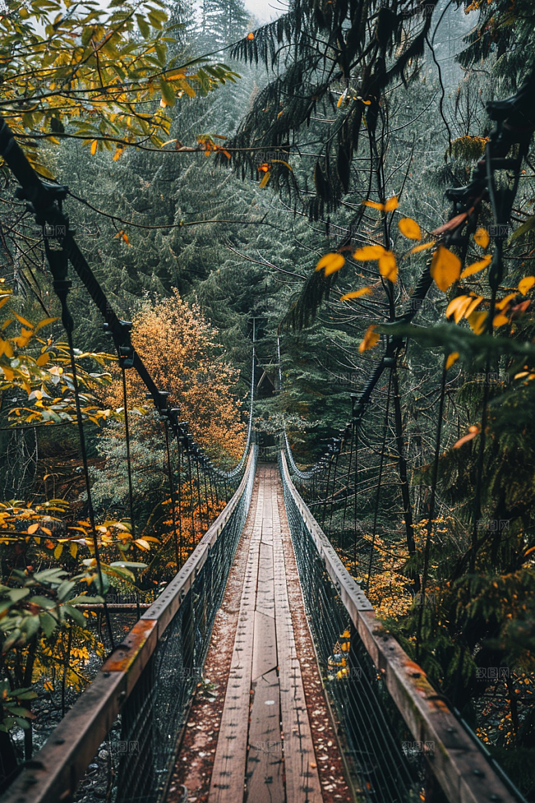 吊桥旅游山谷摄影图