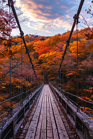 吊桥景色山谷摄影图