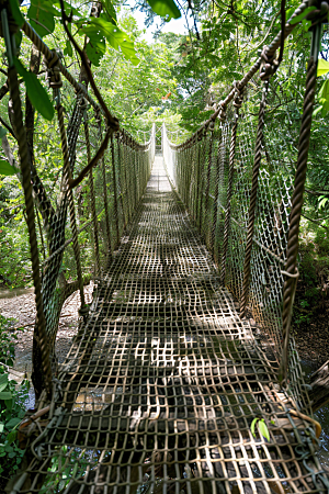 吊桥自然旅游摄影图