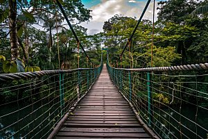 吊桥自然野外摄影图