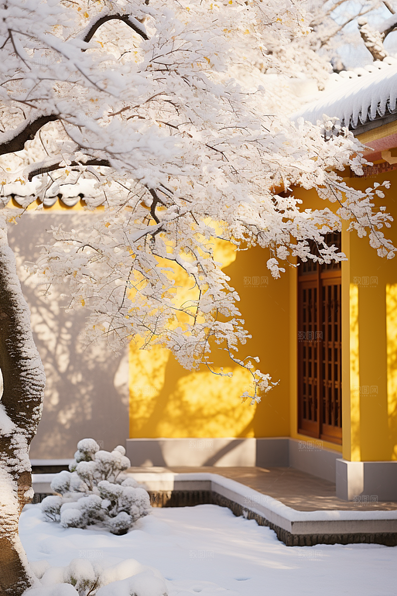 雪中腊梅唯美寒冷摄影图