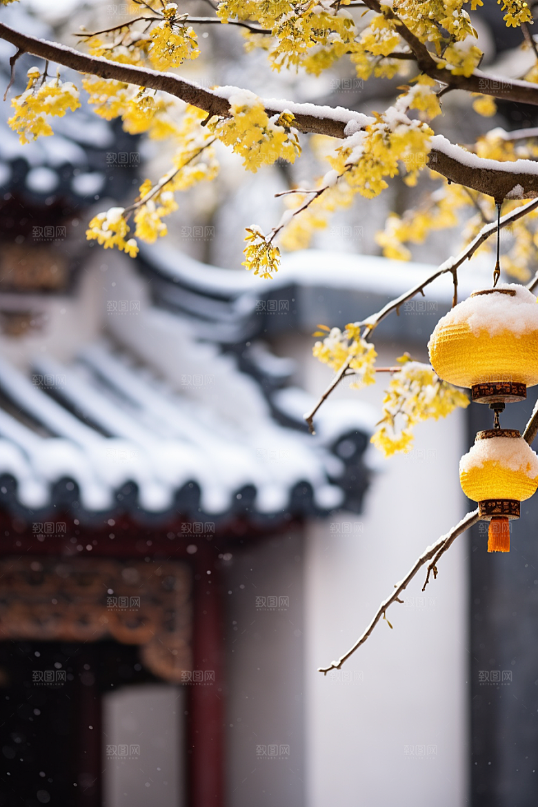 雪中腊梅冬天环境摄影图
