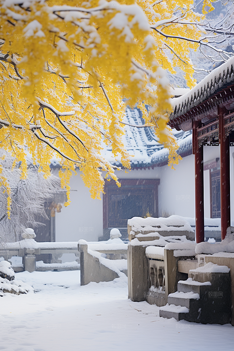 雪中腊梅芬芳寒冷摄影图