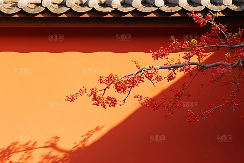 雪中腊梅环境唯美摄影图