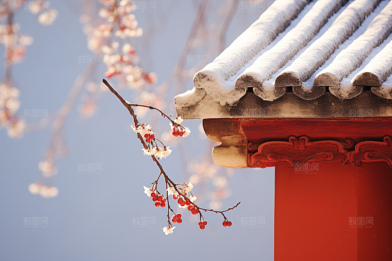 雪中腊梅高清顶级摄影图