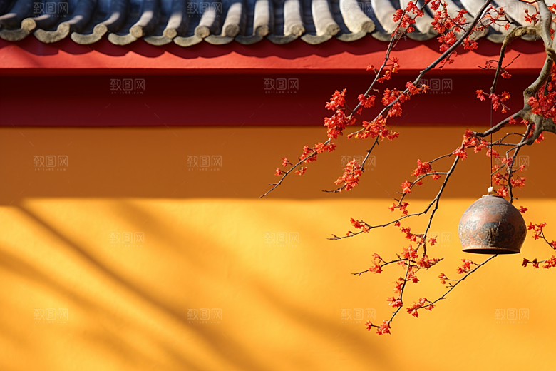 雪中腊梅冬天环境摄影图