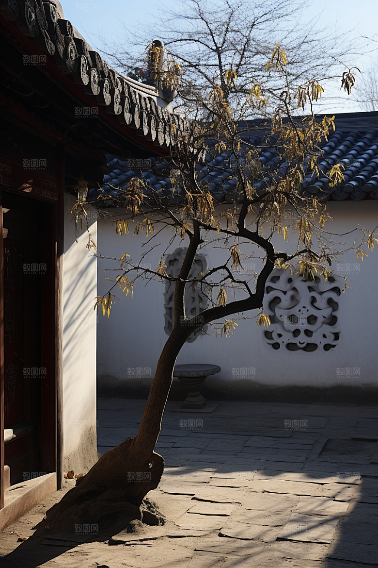 雪中腊梅芬芳环境摄影图