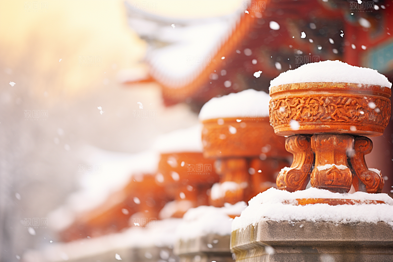 雪中腊梅梅花顶级摄影图
