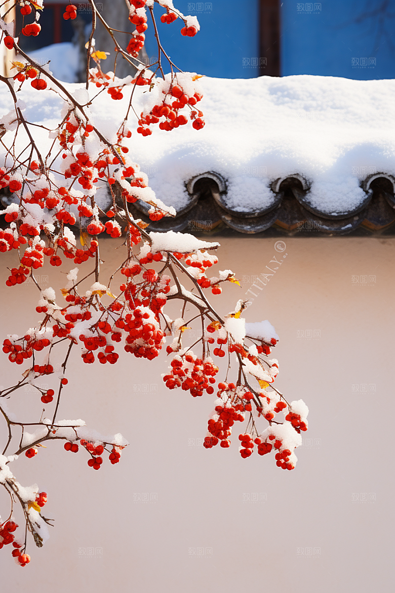 雪中腊梅冬天高清摄影图