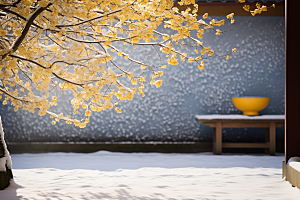 雪中腊梅自然冬季摄影图