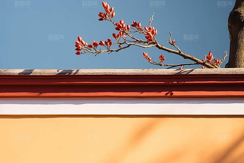 冬天腊梅花园林中国风摄影图