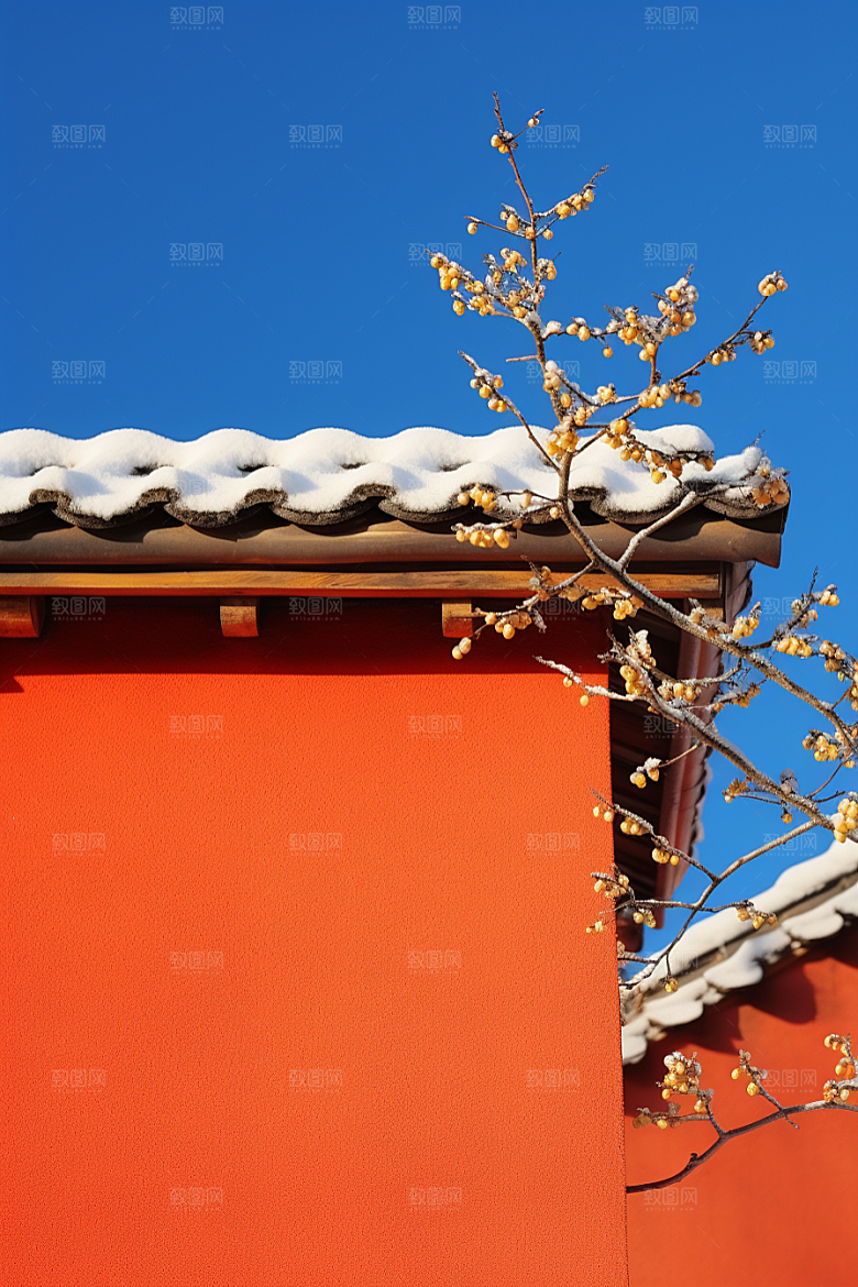 冬天腊梅花植物中国风摄影图