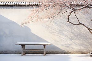 冬天腊梅花传统高清摄影图