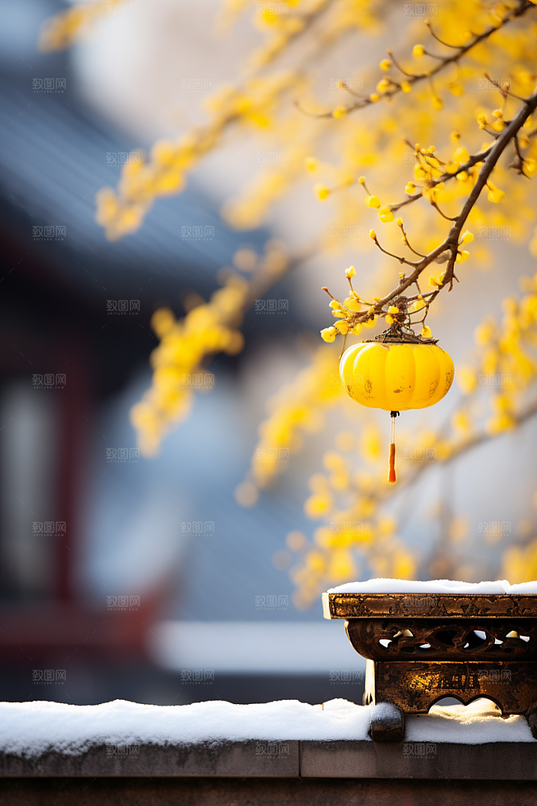 冬天腊梅花传统中国风摄影图