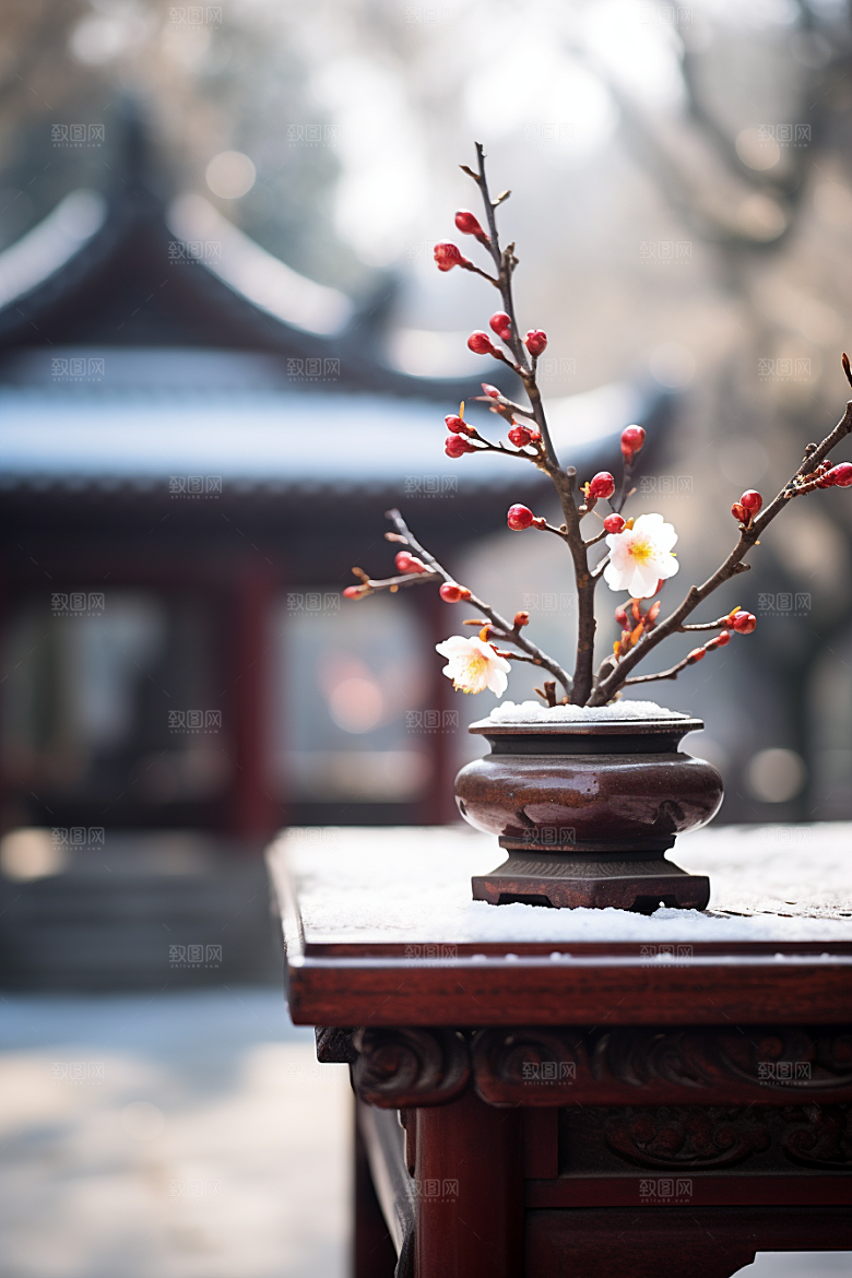 冬天腊梅花冬季园林摄影图