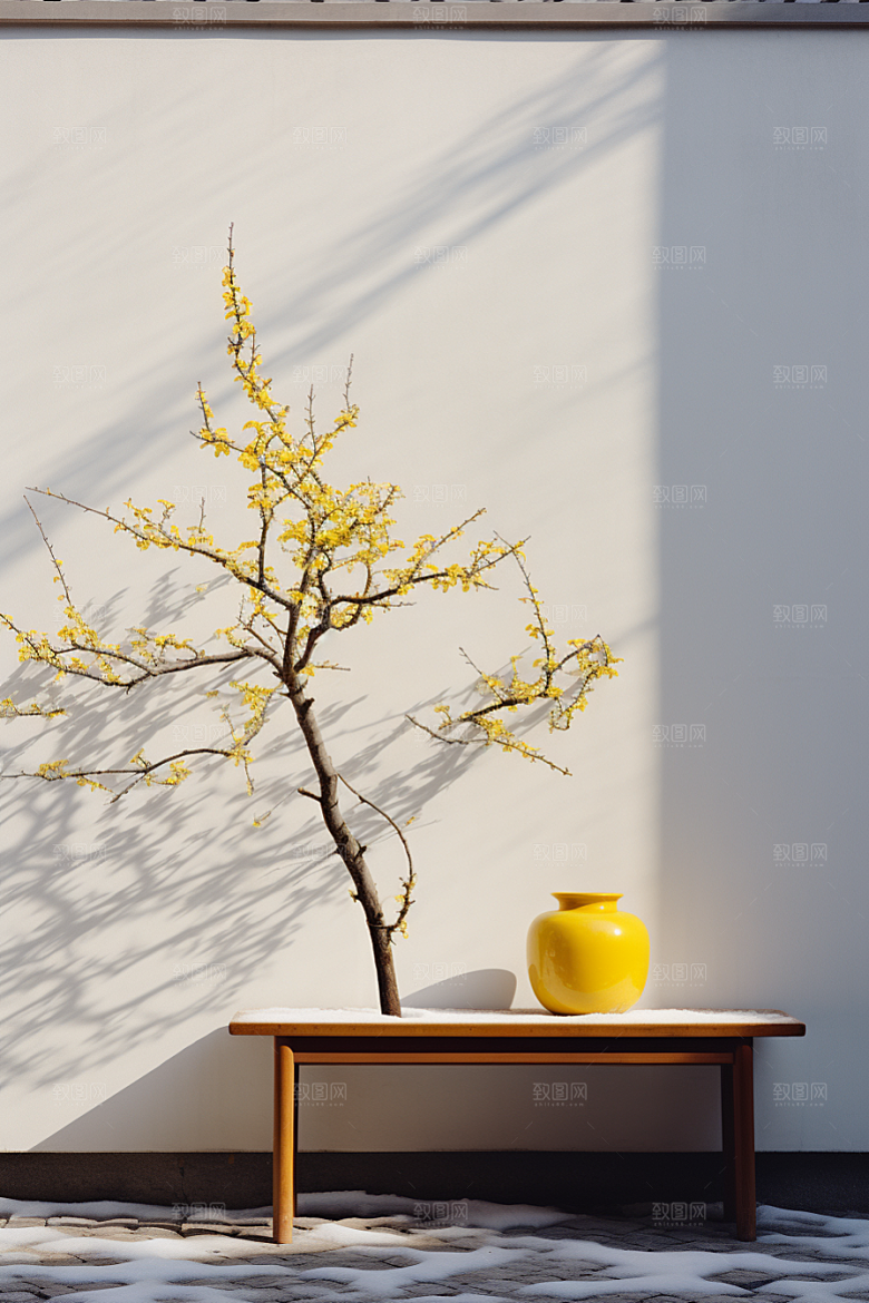 冬天腊梅花植物高清摄影图