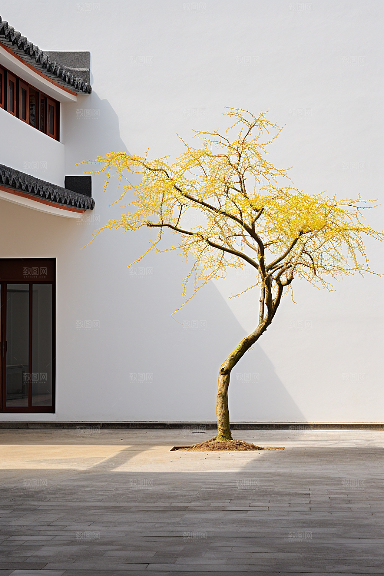冬天腊梅花自然植物摄影图