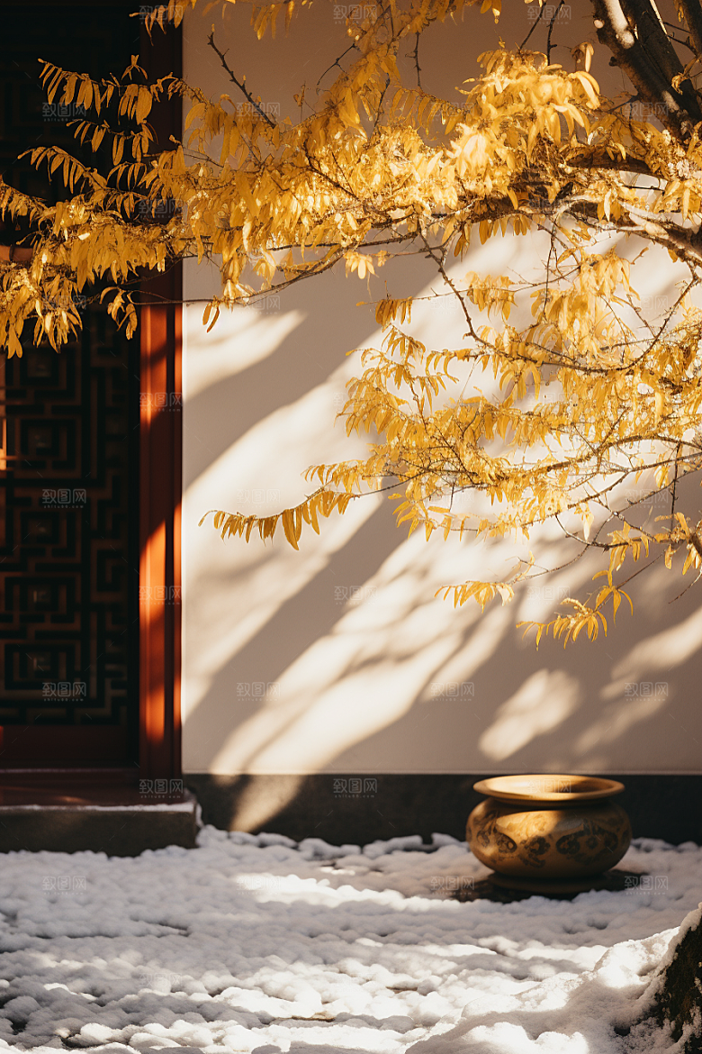 冬天腊梅花优雅传统摄影图