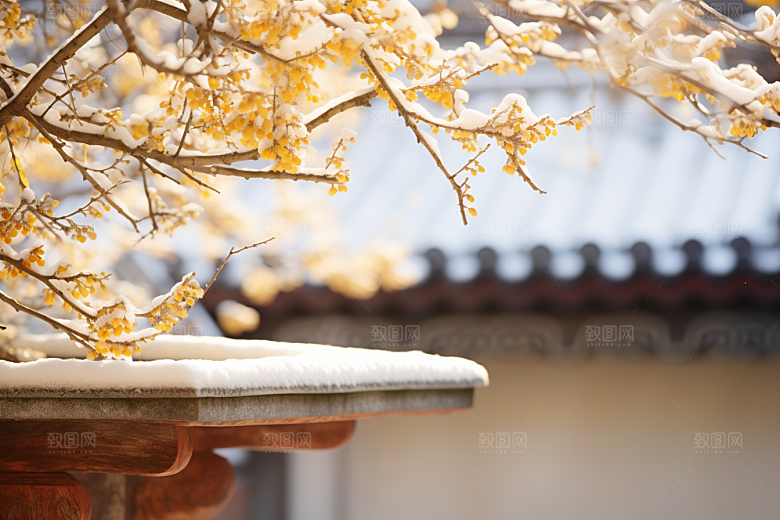 冬天腊梅花园林芬芳摄影图