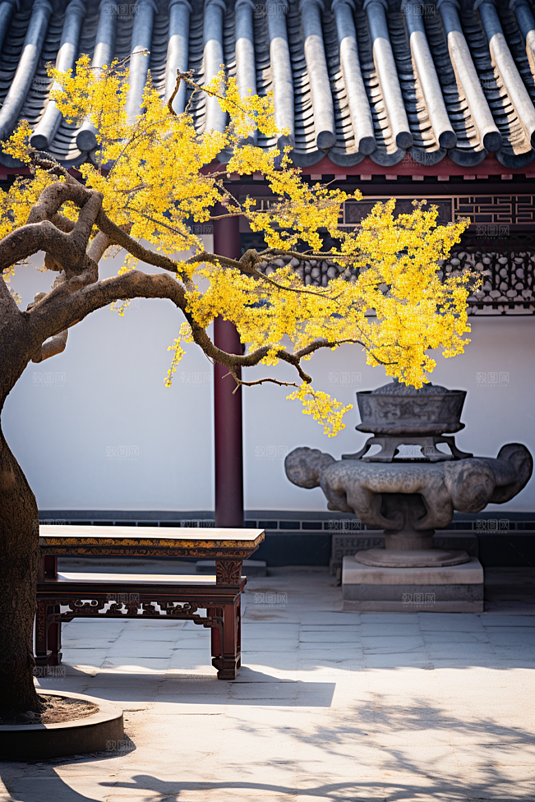冬天腊梅花园林芬芳摄影图