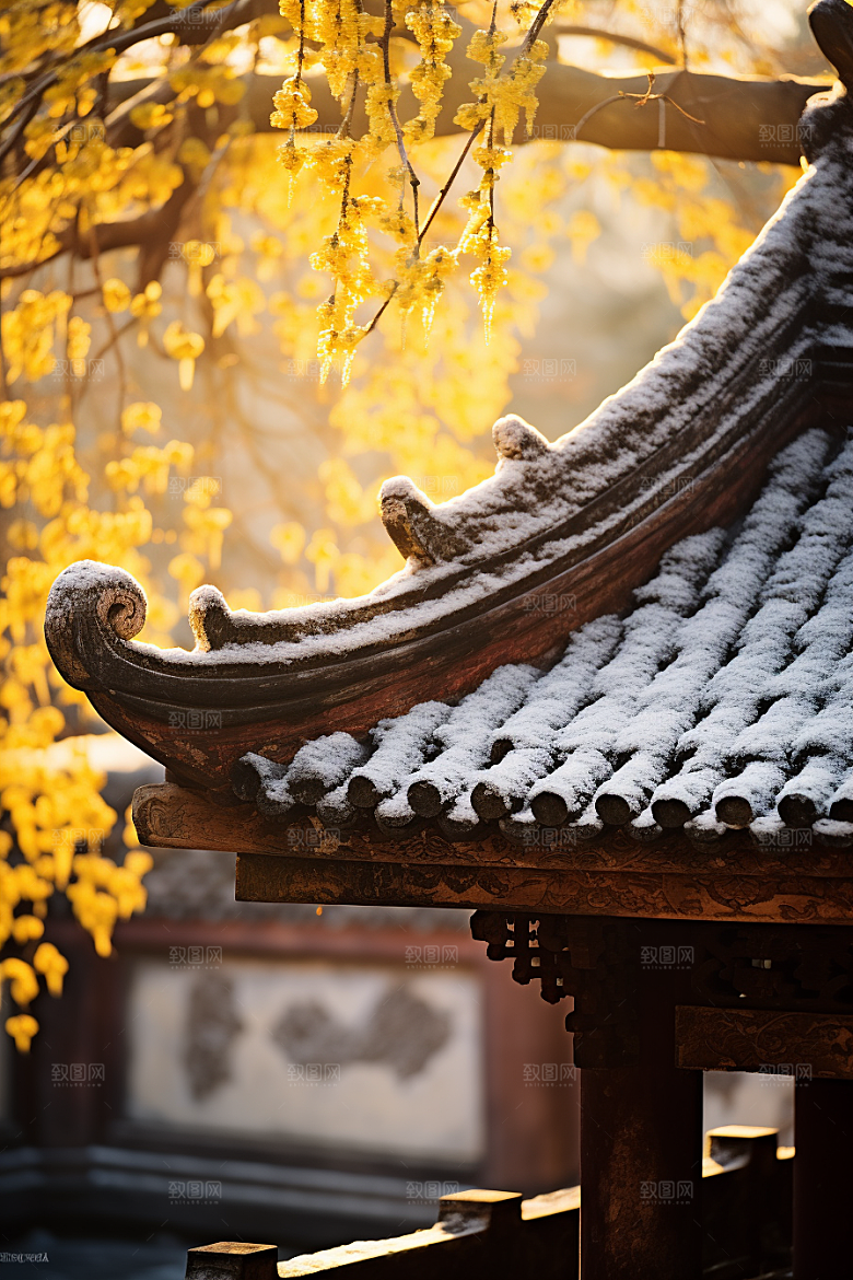 冬天腊梅花新中式寒冷摄影图