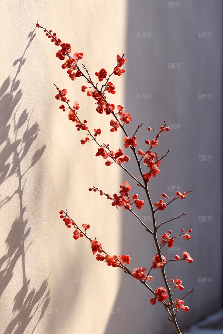 冬天腊梅花寒冷花卉摄影图