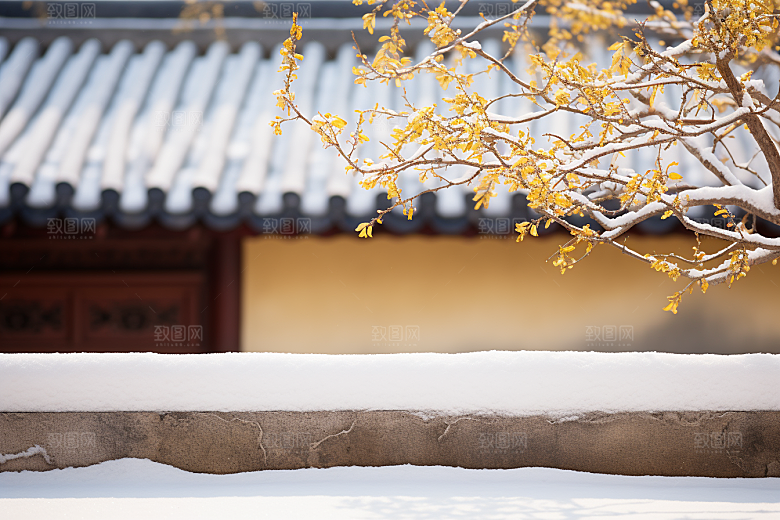 冬天腊梅花优雅花卉摄影图