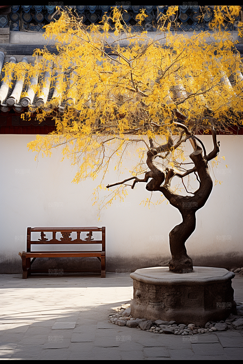 冬天腊梅花植物高清摄影图
