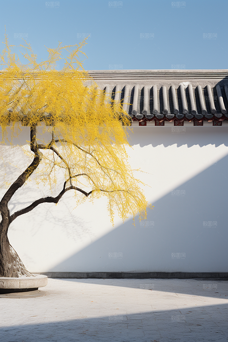 冬天腊梅花传统园林摄影图