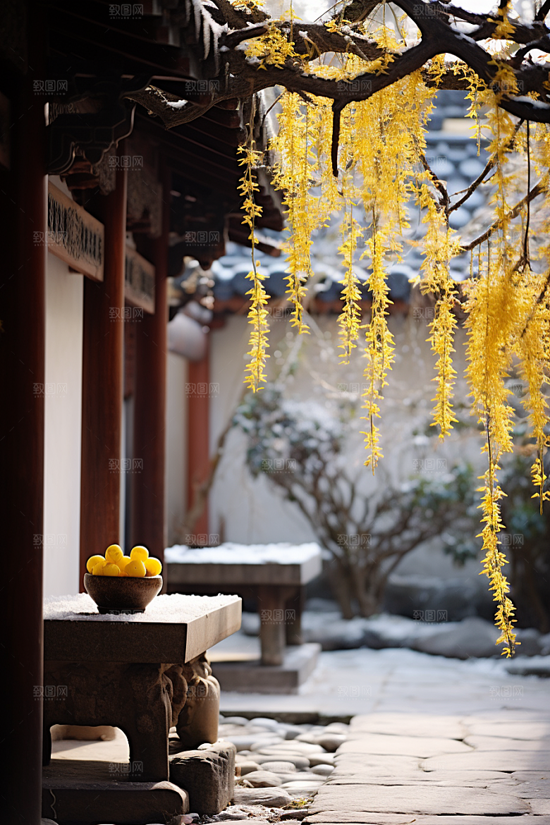 冬天腊梅花芬芳高清摄影图