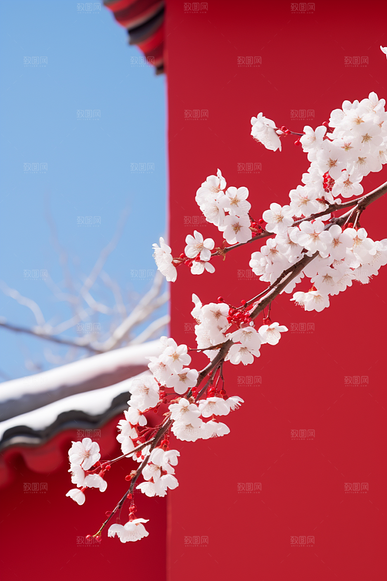 冬天腊梅花寒冷冬季摄影图