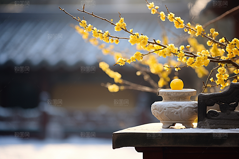 冬天腊梅花花卉高清摄影图